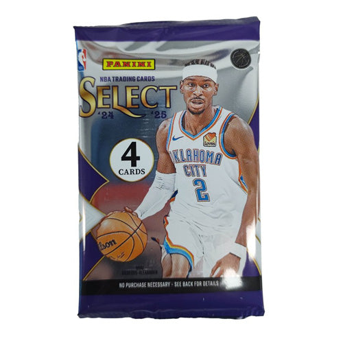 Panini 2024 2025 Select Basketball Blaster Box