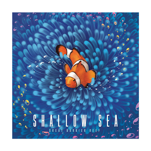Shallow Sea
