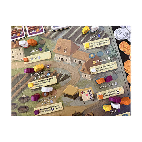 Viticulture Bordeaux Expansion