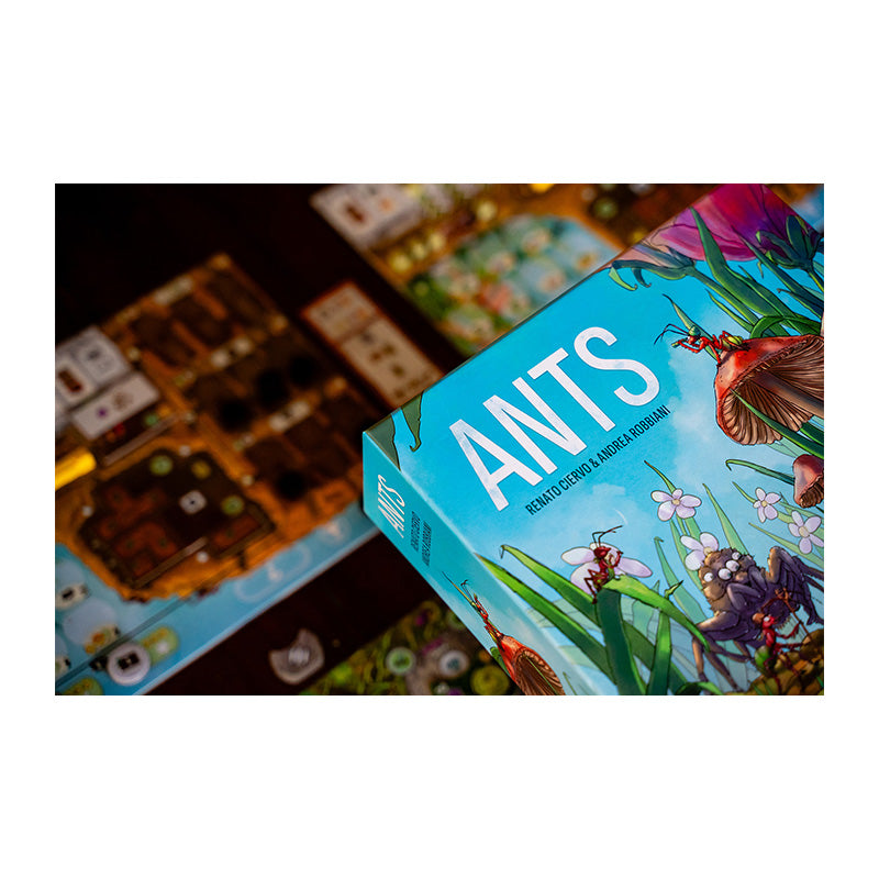 Ants