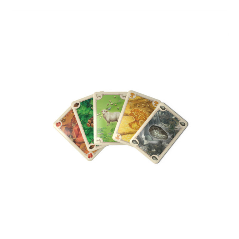 CATAN 6th Edition Base Game
