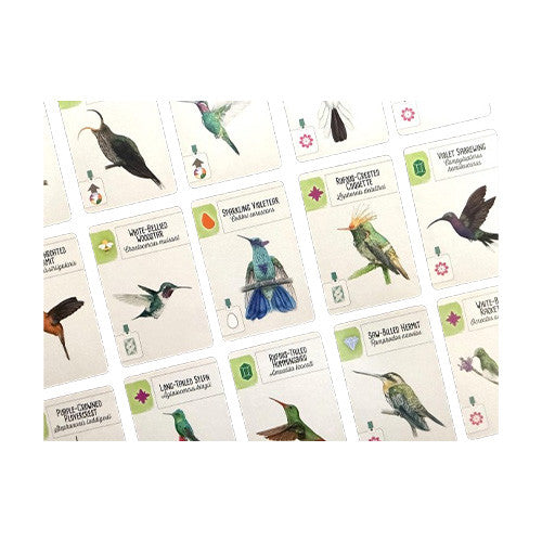 Wingspan Americas Expansion