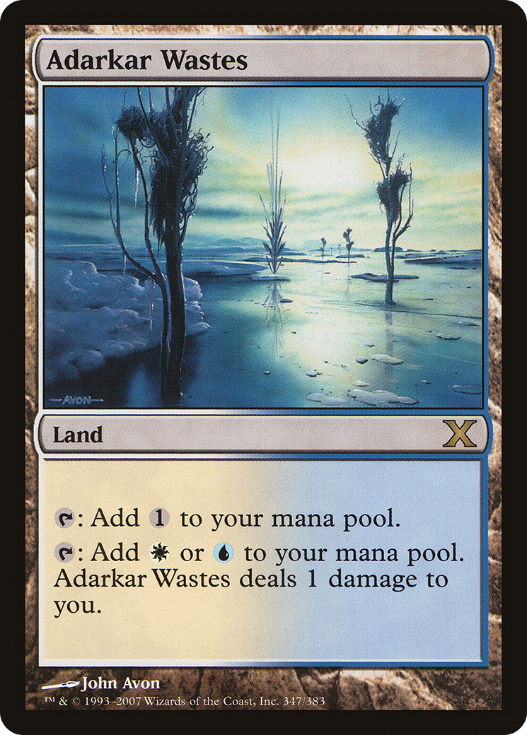 Adarkar Wastes (10E-347) - Tenth Edition - Magic The Gathering