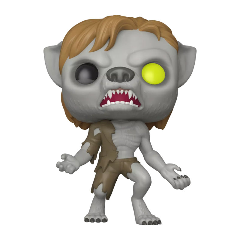 Funko Pop! Harry Potter #201 Remus Lupin Werewolf Limited w/ Protector
