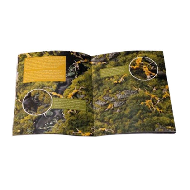 Gamers Grass Jungle Floor Basing Box