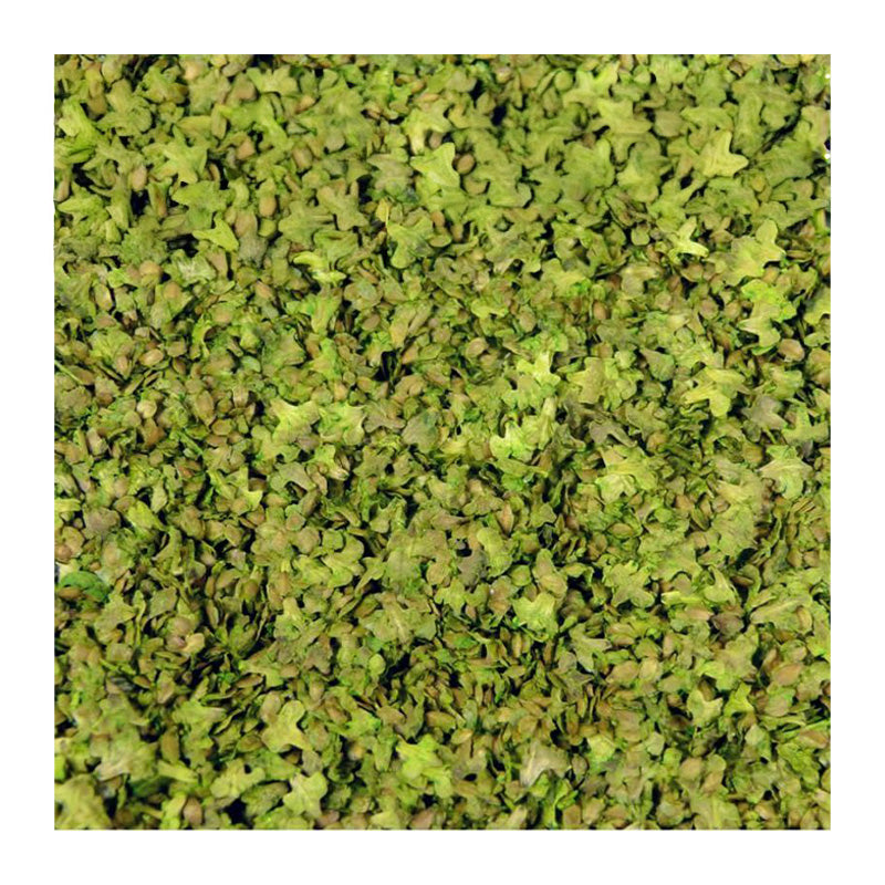 Green Stuff World Leaf Litter - Green Spring
