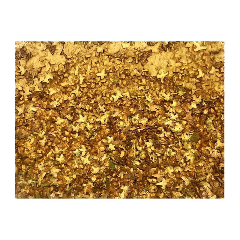 Green Stuff World Leaf Litter - Natural Leaves