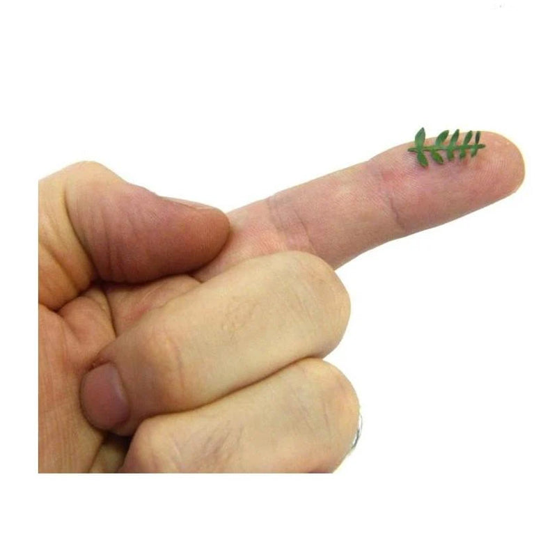 Green Stuff World Miniature Branch Punch - Yellow