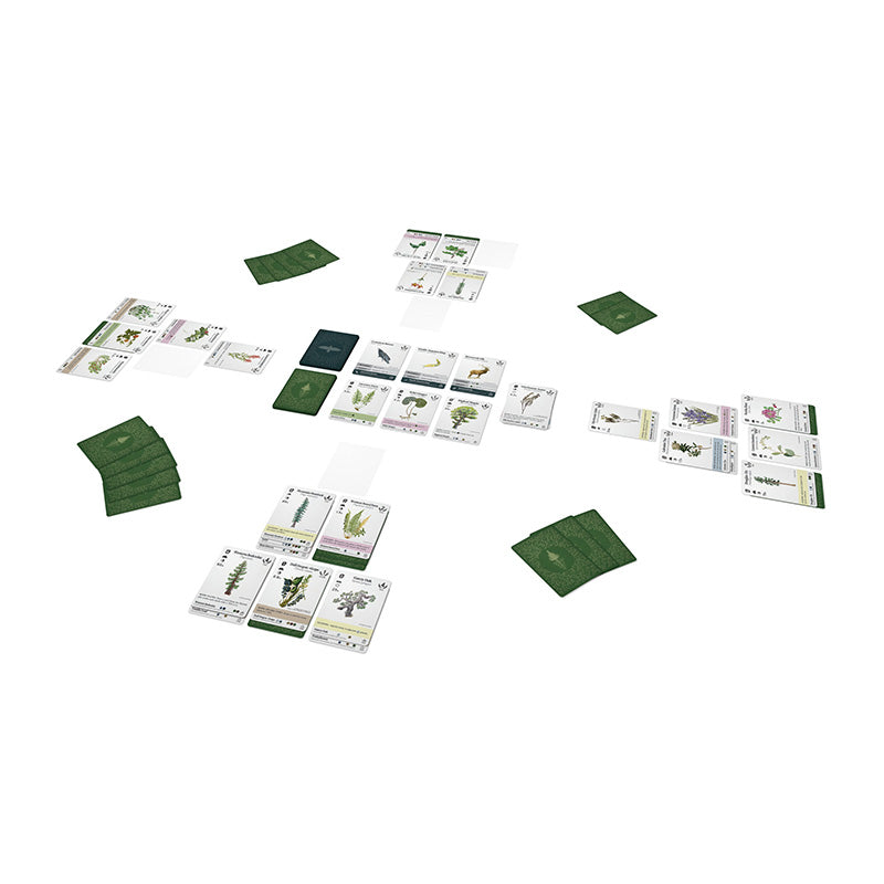 Reforest - Plants of the Pacific Northwest Coast