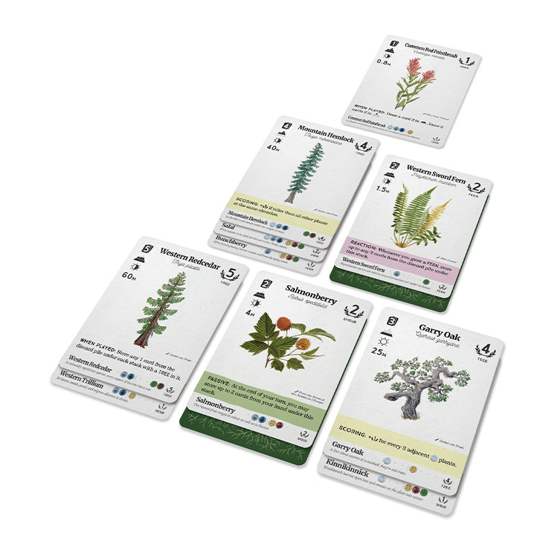 Reforest - Plants of the Pacific Northwest Coast