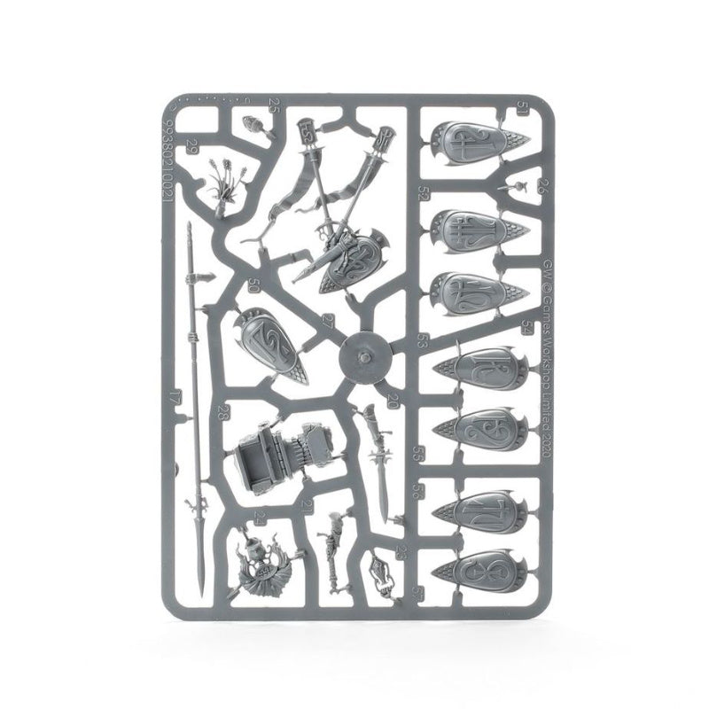 Warhammer Age of Sigmar Lumineth Realm-Lords Vanari Auralan Sentinels