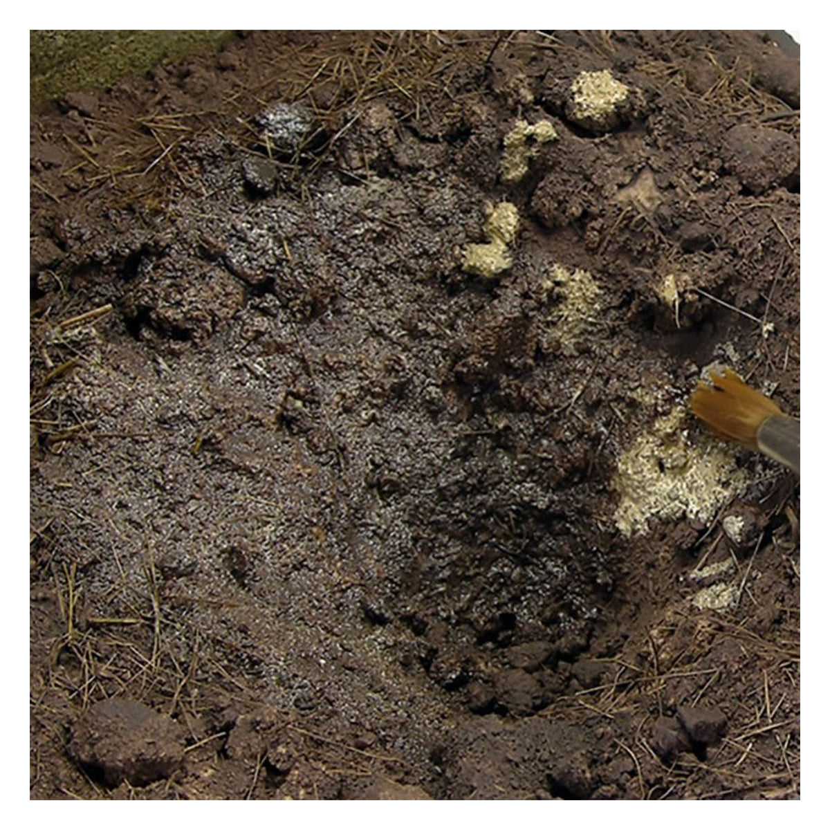 AK Interactive Dioramas - Terrains Muddy Ground 250ml