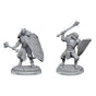 D&D Nolzurs Marvelous Miniatures Dragonborn Clerics