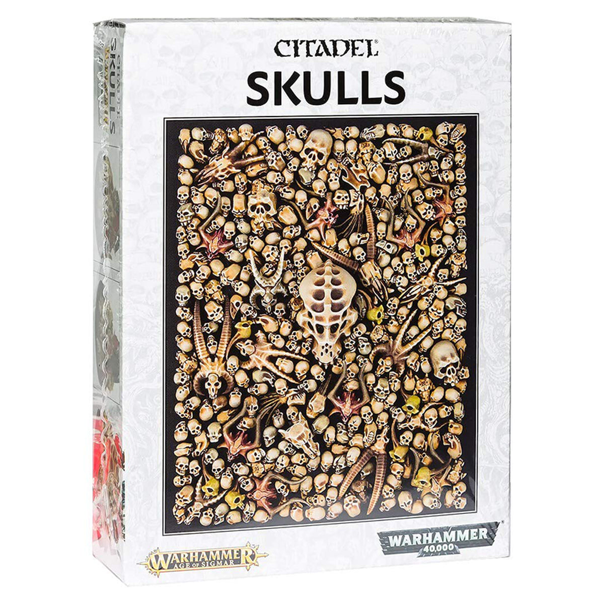 40K_CITSKULLS