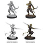 D&D Nolzurs Marvelous Miniatures Male Tabaxi Rogue