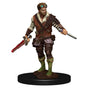 D&D Premium Painted Figures Human Rogue Male