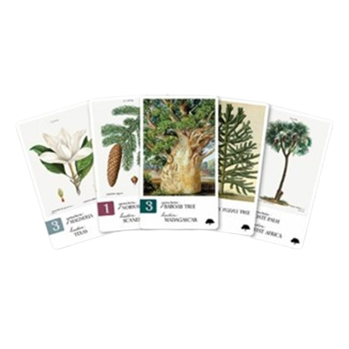 BOTANY_TREES