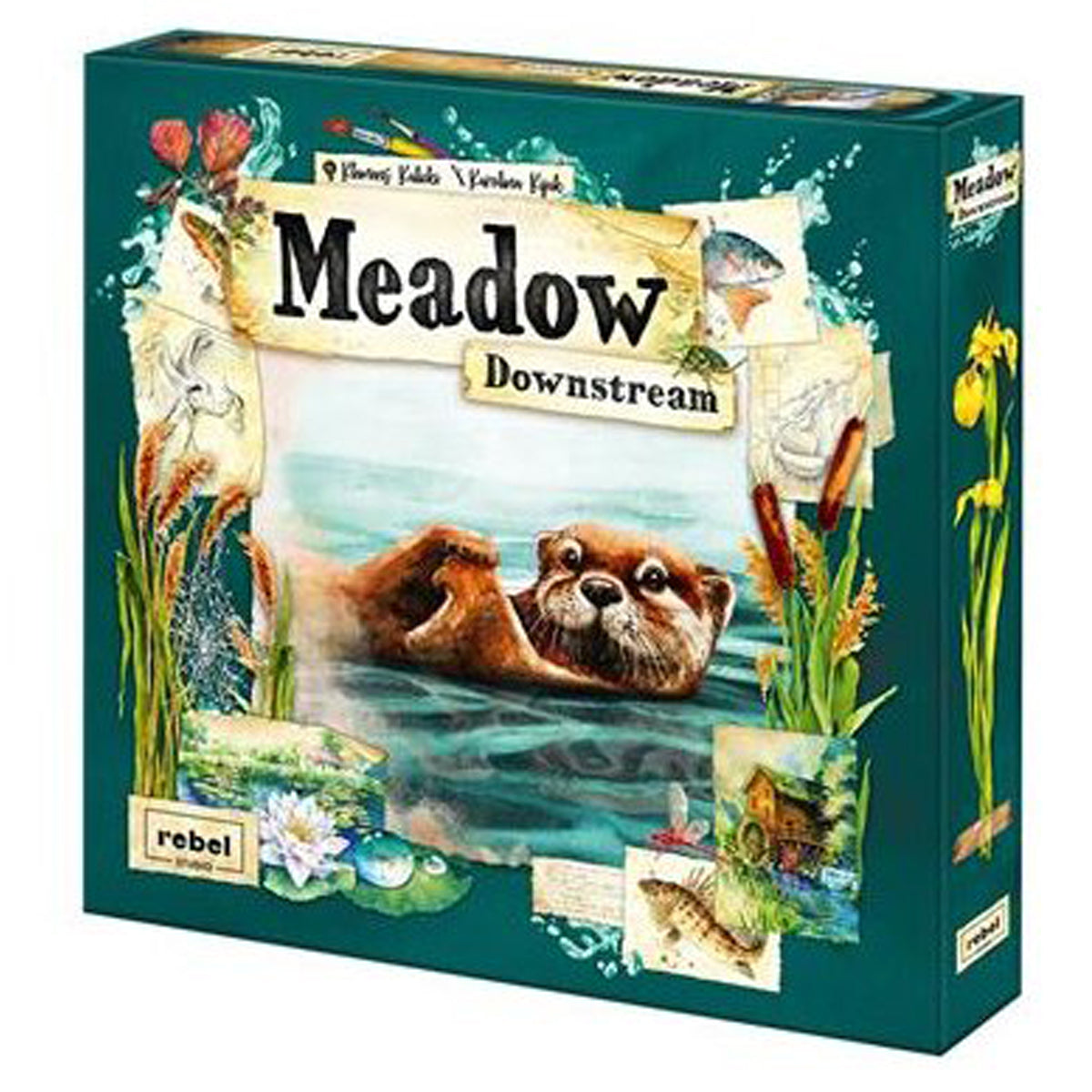 MEADOW_DOWNSTREAM