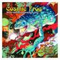 Cosmic Frog