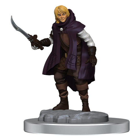 D&D Nolzurs Marvelous Miniatures Elf Rogue & Half-Elf Rogue Protege