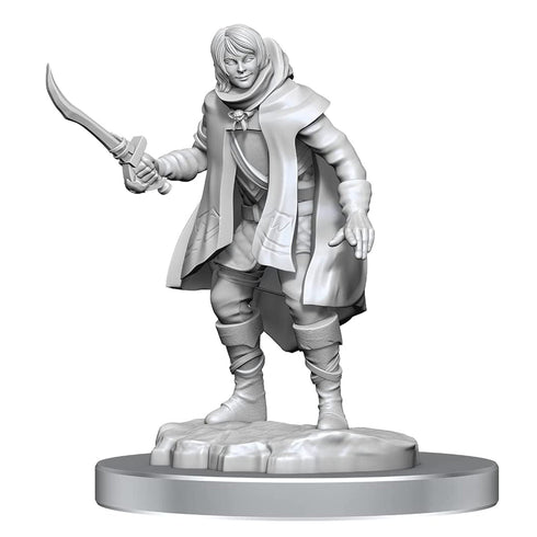 D&D Nolzurs Marvelous Miniatures Elf Rogue & Half-Elf Rogue Protege