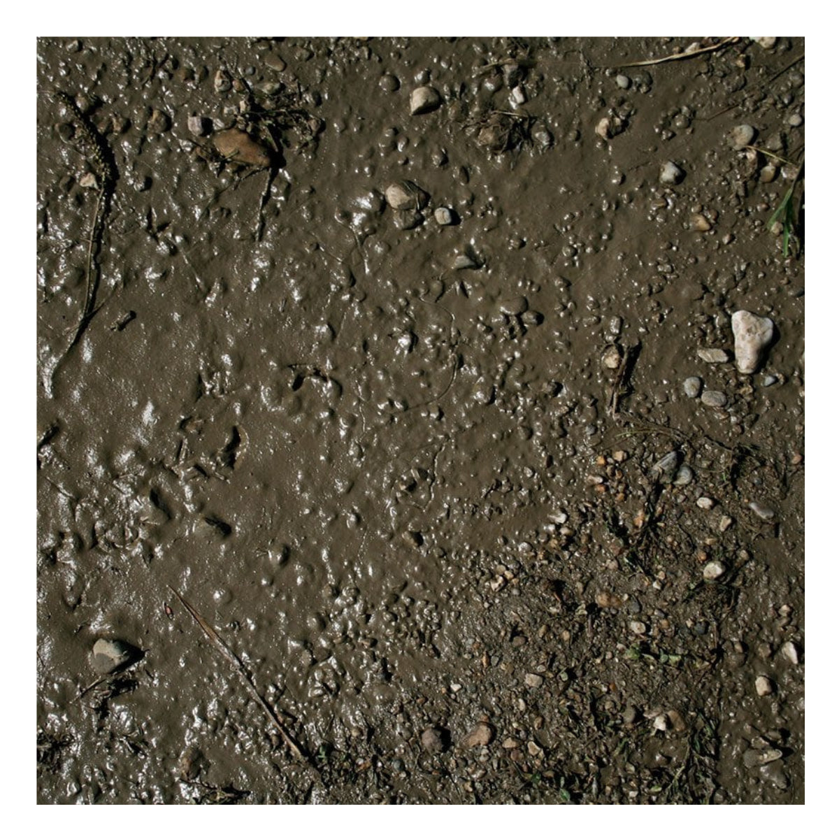 AK Interactive Dioramas - Terrains Wet Ground 250ml