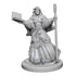 D&D Nolzurs Marvelous Unpainted Miniatures Human Female Wizard