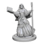 D&D Nolzurs Marvelous Unpainted Miniatures Human Female Wizard