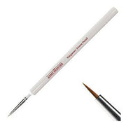 AP_BRUSH_WRGMR_INS_DTL