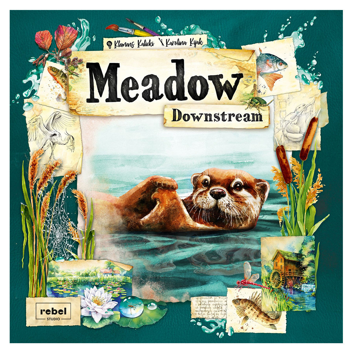 MEADOW_DOWNSTREAM