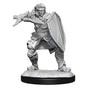 D&D Nolzurs Marvelous Unpainted Miniatures Human Paladin Male