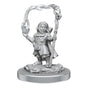 D&D Nolzurs Marvelous Miniatures Halfling Wizards