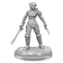 D&D Nolzurs Marvelous Miniatures Elf Rogue & Half-Elf Rogue Protege