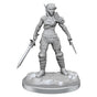 D&D Nolzurs Marvelous Miniatures Elf Rogue & Half-Elf Rogue Protege