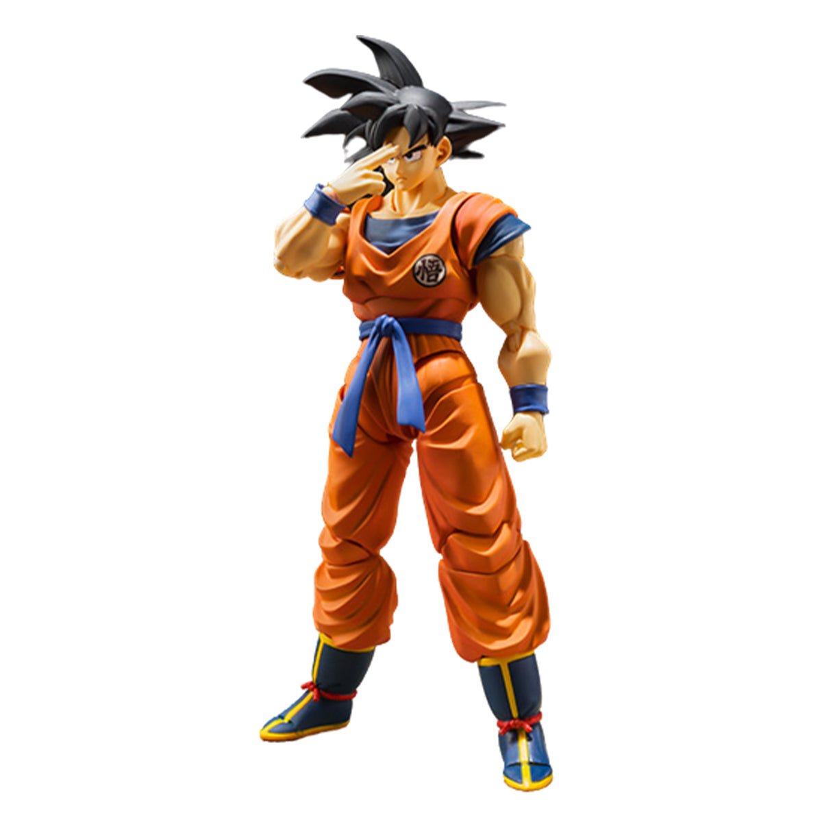 FIGUARTS_DB_GOKU_EARTH